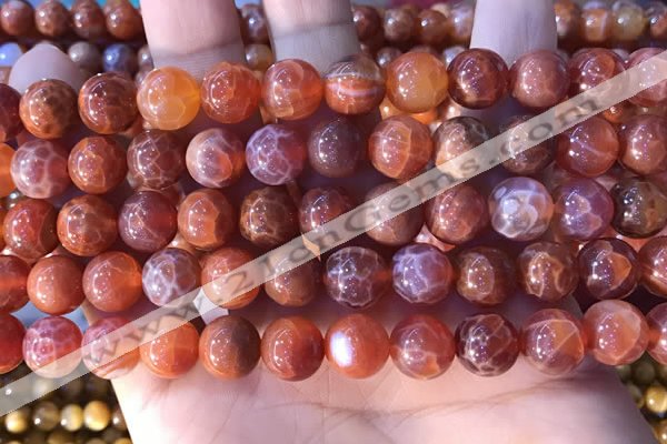 CAA5073 15.5 inches 10mm round red dragon veins agate beads