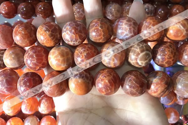 CAA5078 15.5 inches 20mm round red dragon veins agate beads