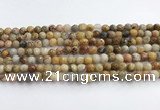 CAA5290 15.5 inches 4mm faceted round crazy lace agate beads wholesale