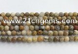 CAA5291 15.5 inches 6mm faceted round crazy lace agate beads wholesale