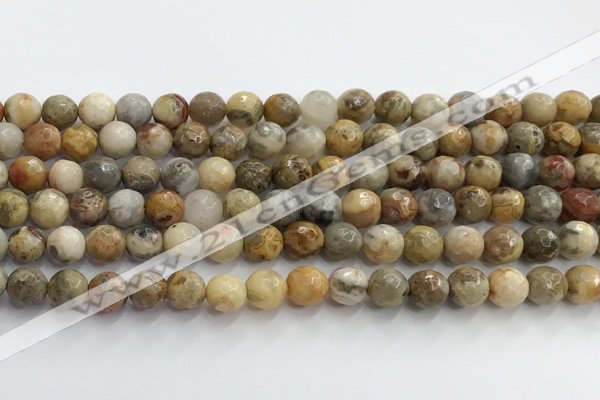 CAA5291 15.5 inches 6mm faceted round crazy lace agate beads wholesale