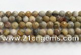 CAA5292 15.5 inches 8mm faceted round crazy lace agate beads wholesale