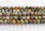 CAA5293 15.5 inches 10mm faceted round crazy lace agate beads wholesale