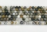 CAA5330 15.5 inches 6mm round ocean agate beads wholesale