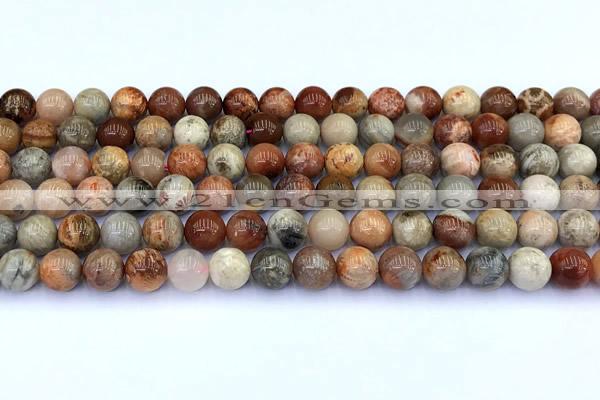 CAA5811 15 inches 8mm round chrysanthemum agate beads