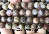 CAA6269 15 inches 12mm round fire agate gemstone beads