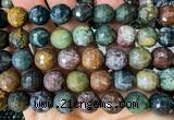 CAA6470 15 inches 12mm faceted round Indian agate beads wholesale