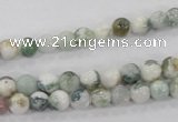 CAA700 15.5 inches 6mm round tree agate gemstone beads wholesale