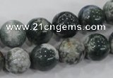 CAA703 15.5 inches 12mm round tree agate gemstone beads wholesale