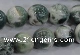 CAA704 15.5 inches 14mm round tree agate gemstone beads wholesale