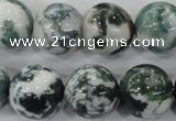 CAA705 15.5 inches 16mm round tree agate gemstone beads wholesale