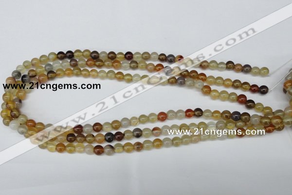 CAA890 15.5 inches 6mm round agate gemstone beads wholesale