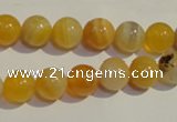 CAA90 15.5 inches 12mm round botswana agate gemstone beads