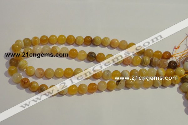 CAA90 15.5 inches 12mm round botswana agate gemstone beads
