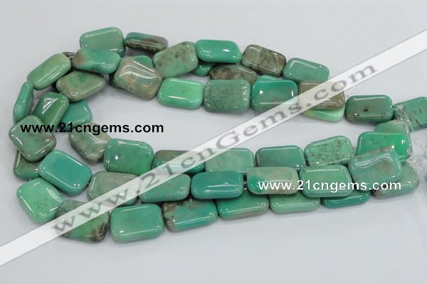 CAB29 15.5 inches 18*25mm rectangle green grass agate gemstone beads