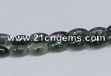 CAB387 15.5 inches 5*8mm rice moss agate gemstone beads wholesale