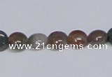 CAB448 15.5 inches 8mm flat round indian agate gemstone beads