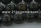 CAE05 15.5 inches 12mm round astrophyllite beads wholesale