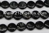 CAE44 15.5 inches 10mm flat round astrophyllite beads wholesale