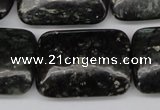 CAE95 15.5 inches 22*30mm rectangle astrophyllite beads wholesale