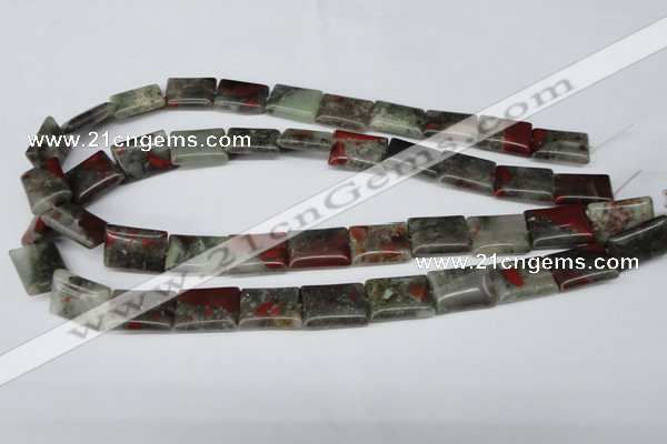 CAF01 15.5 inches 13*18mm rectangle African bloodstone beads