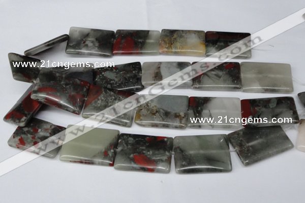 CAF03 15.5 inches 25*35mm rectangle African bloodstone beads