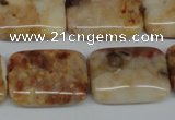 CAG1098 15.5 inches 18*25mm rectangle Morocco agate beads wholesale