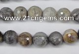 CAG1423 15.5 inches 10mm faceted round silver needle agate beads