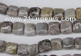 CAG1430 15.5 inches 8*8mm square silver needle agate beads