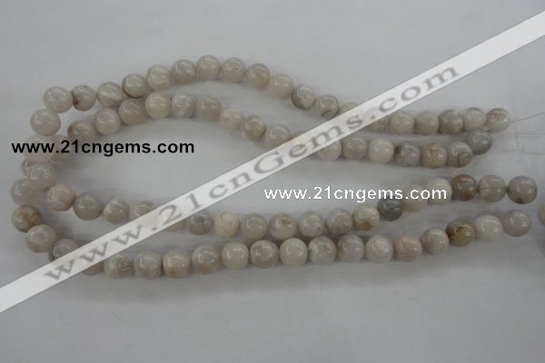 CAG1897 15.5 inches 10mm round grey agate beads wholesale