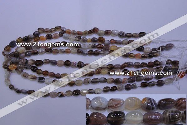 CAG2770 15.5 inches 6*8mm nuggets botswana agate beads wholesale