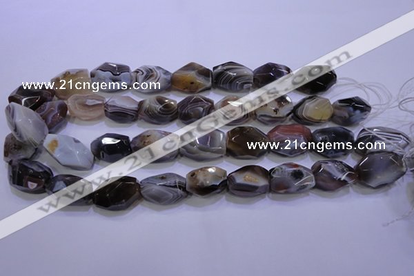 CAG2775 15.5 inches 14*20mm faceted nuggets botswana agate beads wholesale