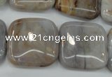 CAG3655 15.5 inches 25*25mm square ocean agate gemstone beads