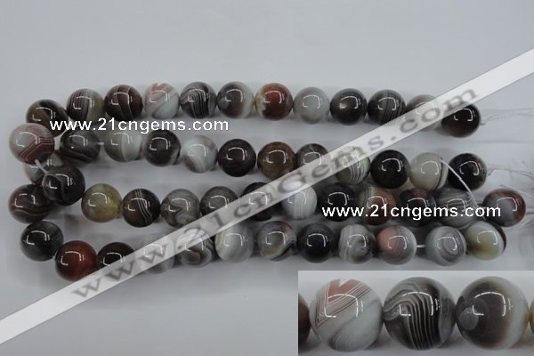 CAG3686 15.5 inches 16mm round botswana agate beads wholesale