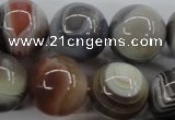 CAG3688 15.5 inches 20mm round botswana agate beads wholesale