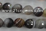 CAG3694 15.5 inches 12mm faceted round botswana agate beads wholesale