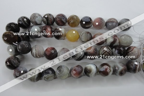 CAG3698 15.5 inches 20mm faceted round botswana agate beads wholesale