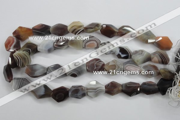 CAG3732 15*18mm – 20*23mm faceted freeform botswana agate beads