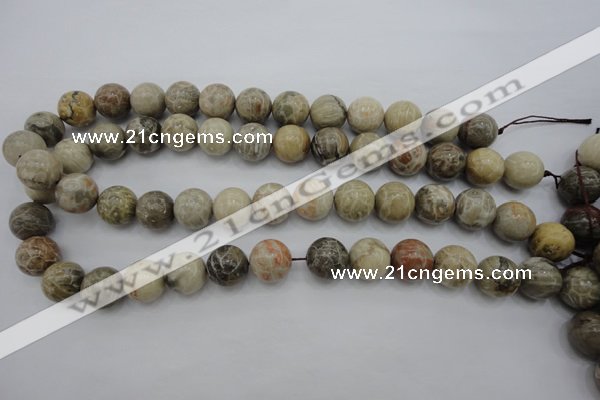 CAG3885 15.5 inches 14mm round chrysanthemum agate beads