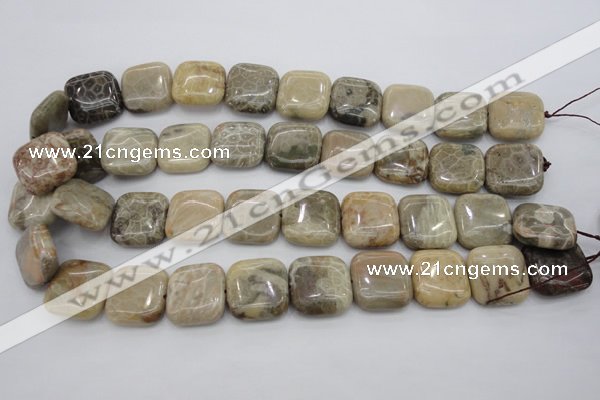 CAG3898 15.5 inches 20*20mm square chrysanthemum agate beads