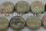 CAG3907 15.5 inches 18mm flat round chrysanthemum agate beads