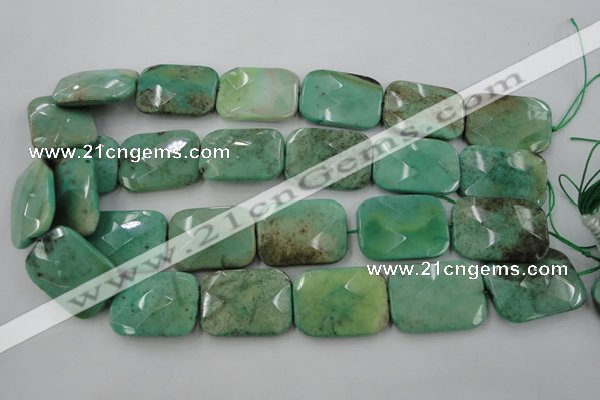 CAG3938 15.5 inches 22*30mm faceted rectangle green grass agate beads