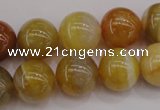 CAG4325 15.5 inches 14mm round botswana agate gemstone beads