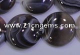 CAG4448 15.5 inches 25mm flat round botswana agate beads wholesale