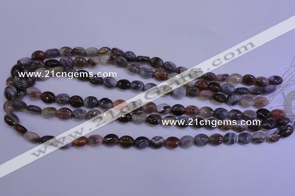 CAG4450 15.5 inches 8*10mm oval botswana agate beads wholesale