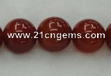 CAG446 15.5 inches 16mm round red agate gemstone beads wholesale