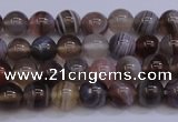 CAG5951 15.5 inches 6mm round botswana agate beads wholesale