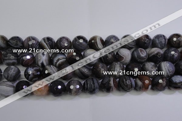 CAG5966 15.5 inches 18mm faceted round botswana agate beads wholesale