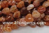 CAG627 15.5 inches 8*8mm heart natural fire agate beads wholesale