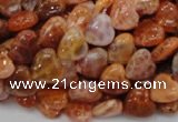 CAG628 15.5 inches 10*10mm heart natural fire agate beads wholesale